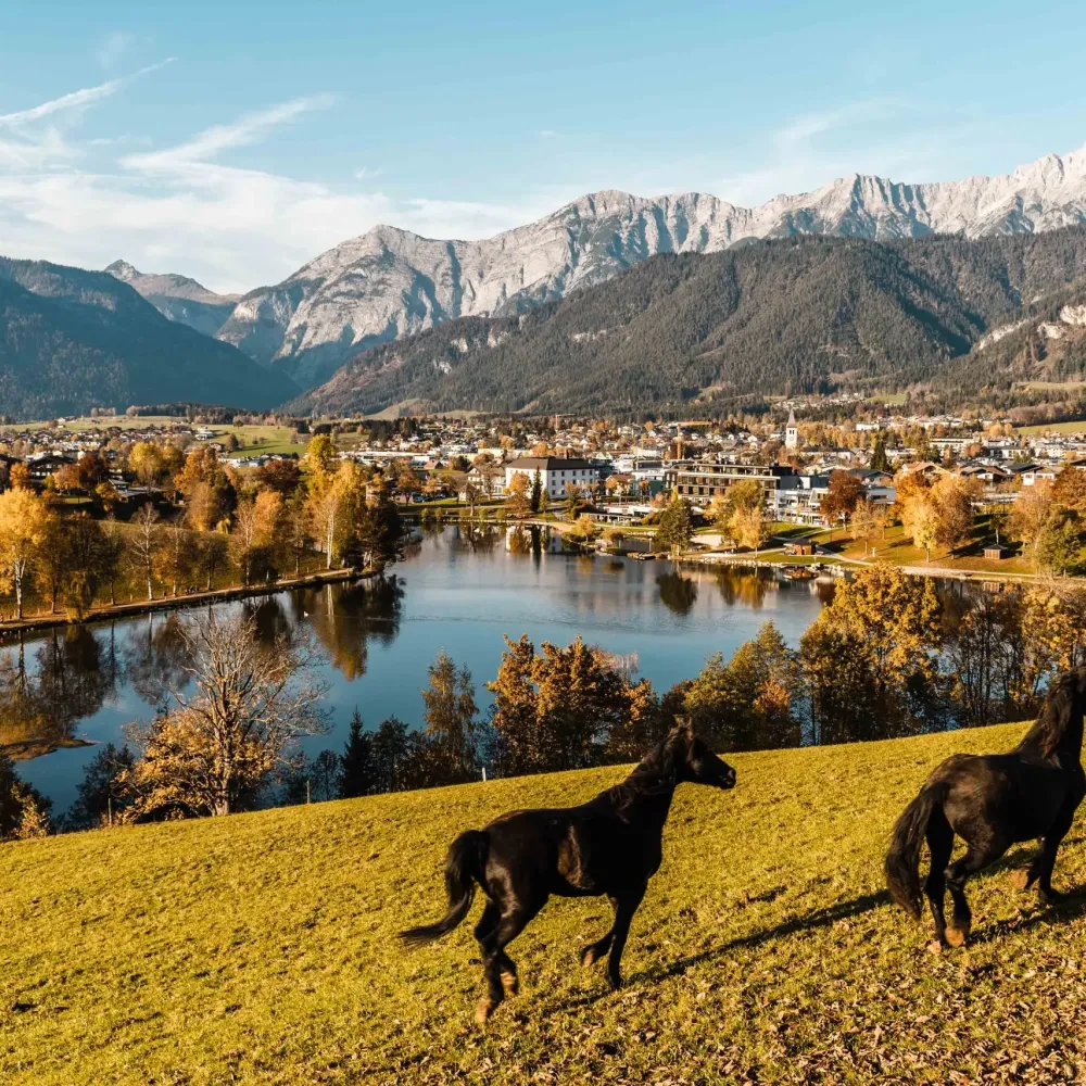 Herbst2019_Ritzensee_19_MichaelGeißler
